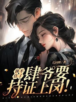顶不住了，肆爷要持证上岗！封面