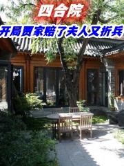 四合院：开局贾家赔了夫人又折兵封面