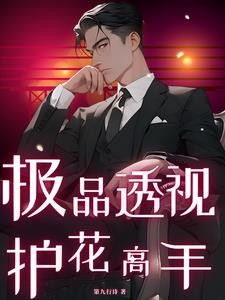 极品透视护花高手封面