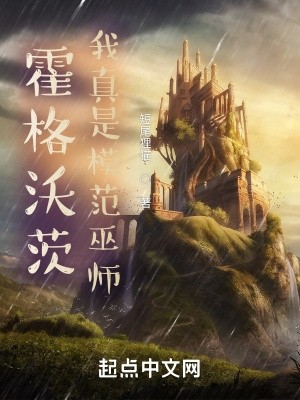 霍格沃茨：我真是模范巫师封面