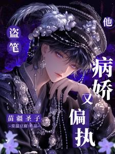 盗笔：苗疆圣子他病娇又偏执封面