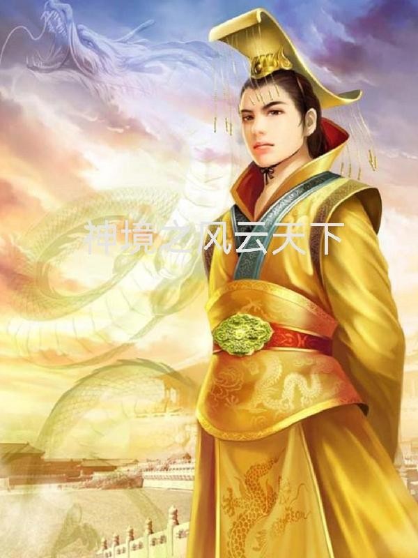 神境之风云天下封面