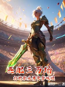 匹配三万场,打的职业哥哭爹喊娘封面
