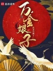 万金娘子封面