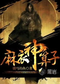 麻衣神算子封面