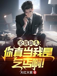沦落街头：你真当我是乞丐啊！封面
