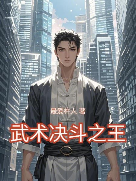 武术决斗之王封面