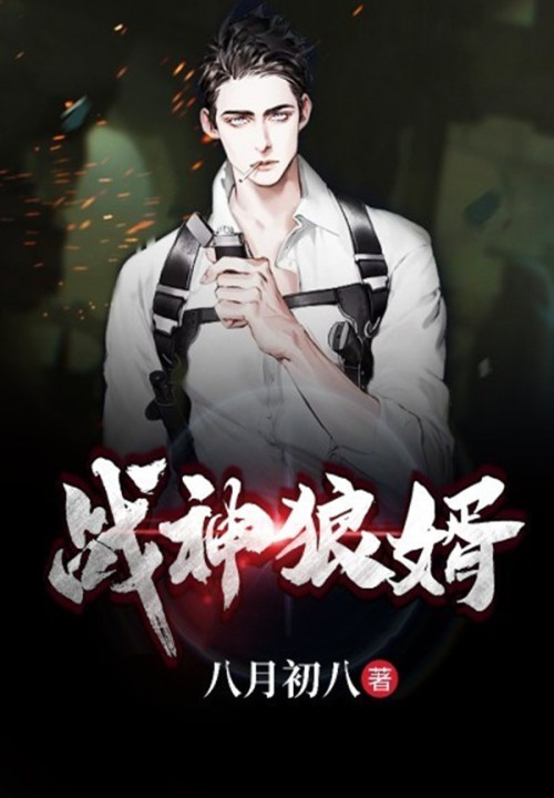 战神狼婿封面