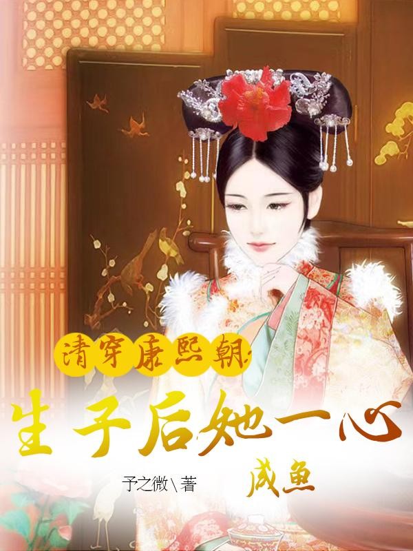 清穿康熙朝：生子后她一心咸鱼封面