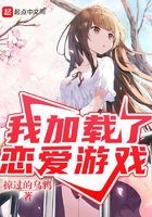 我加载了恋爱游戏封面
