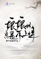 娘娘她总是不上进封面