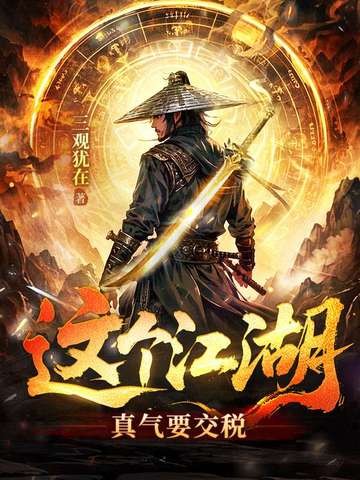 这个江湖：真气要交税封面
