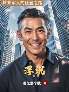 仕途浮沉封面