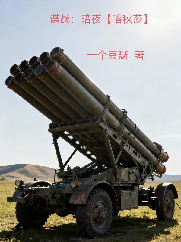 谍战：暗夜封面