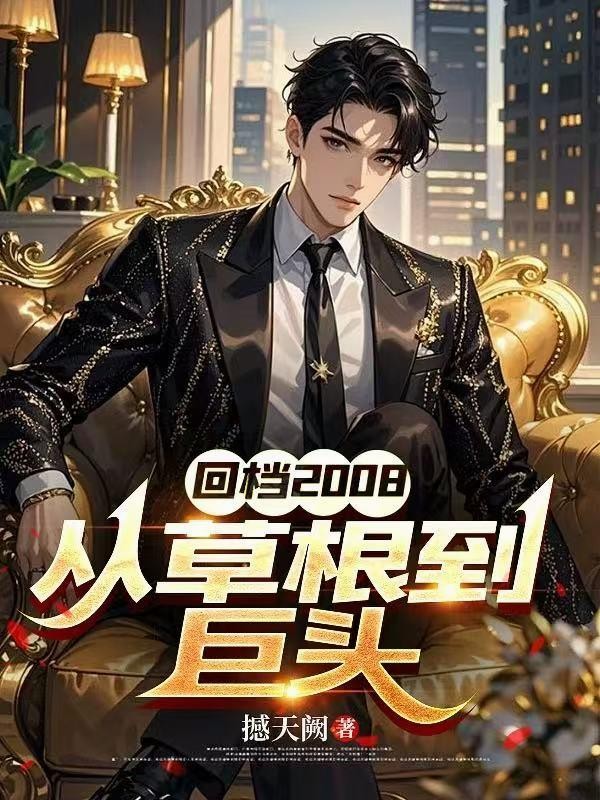 回档2008，从草根到巨头封面