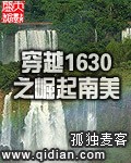 穿越1630之崛起南美内封面