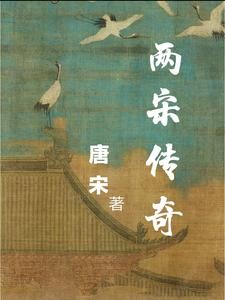 两宋传奇封面