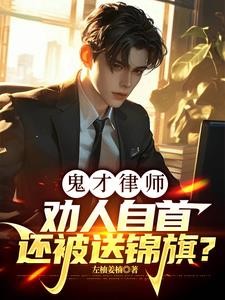 鬼才律师：劝人自首还被送锦旗？封面