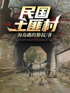 民国土匪村封面