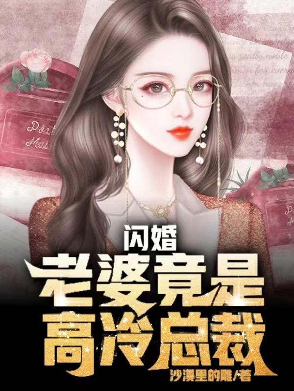 闪婚,老婆竟是高冷总裁封面