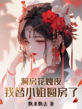 洞房花烛夜，我替小姐圆房了封面