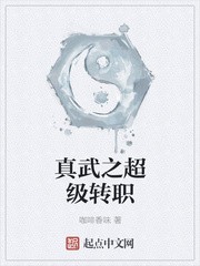真武之超级转职封面