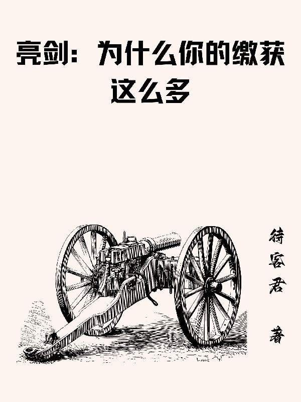 亮剑:为什么你的缴获这么多封面
