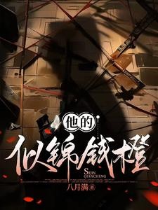他的似锦钱橙封面