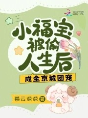 小福宝被偷人生后,成全京城团宠封面