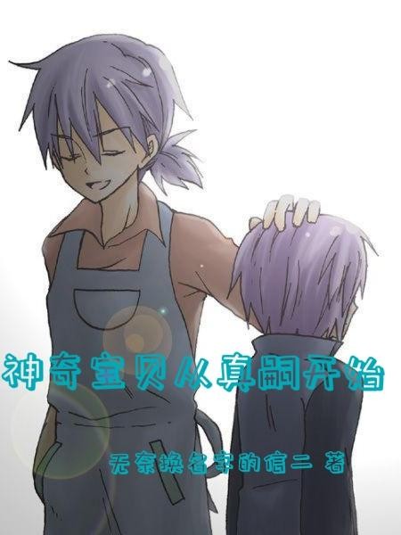 神奇宝贝从真嗣开始封面