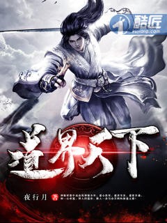 道界天下封面