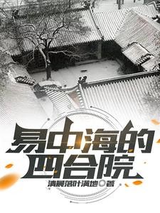易中海的四合院封面