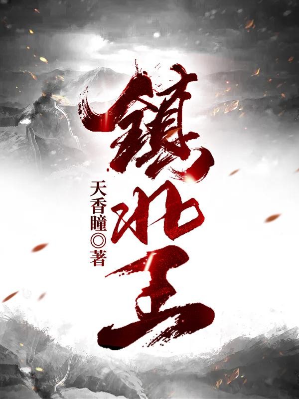 镇北王封面