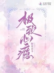 极致心瘾封面