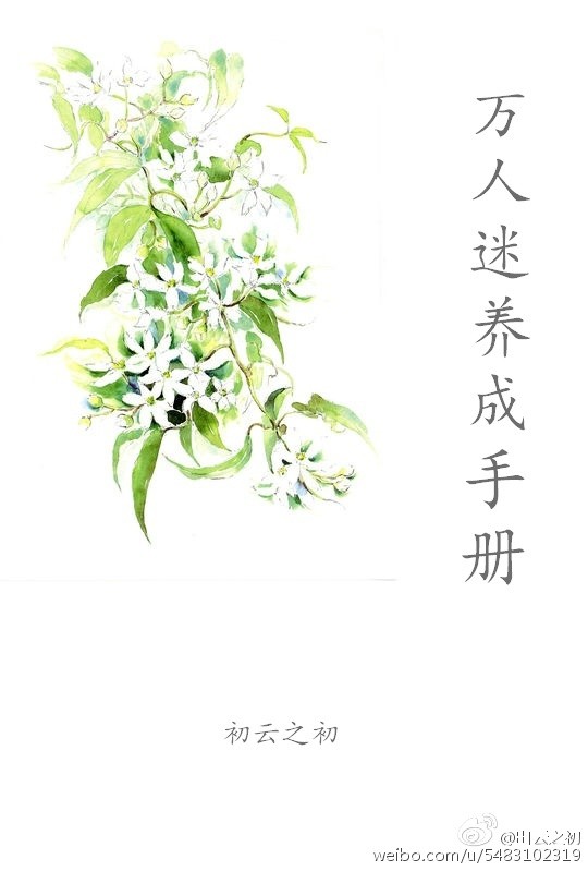 万人迷养成手册（系统）封面