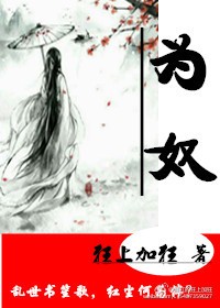 为奴封面