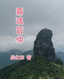 霸魂管仲封面