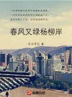 春风又绿杨柳岸封面