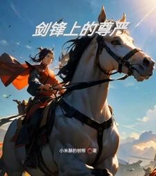 剑锋上的尊严封面