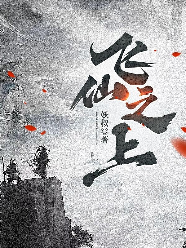 飞仙之上封面