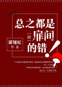 总之都是扉间的错!封面