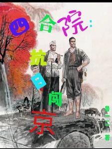 四合院：抗日闯京封面