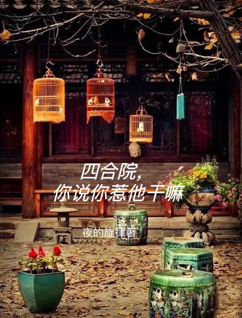四合院，你说你惹他干嘛封面