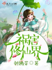 祸害修仙界封面