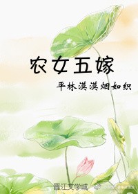 农女五嫁封面