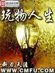 玩物人生封面