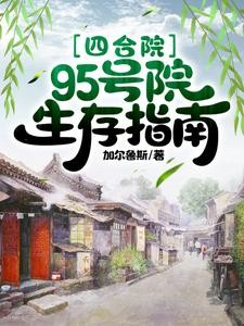 四合院：95号院生存指南封面