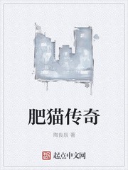 肥猫传奇封面