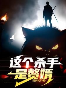 这个杀手是赘婿封面