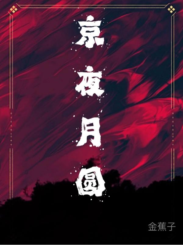 京夜月圆封面